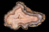 Laguna Agate Specimen 24