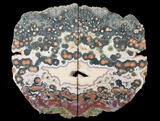 Ocean Jasper Specimen 4