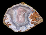 Laguna Agate Specimen 27