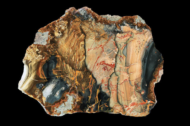 Blue Mountain Jasper 12