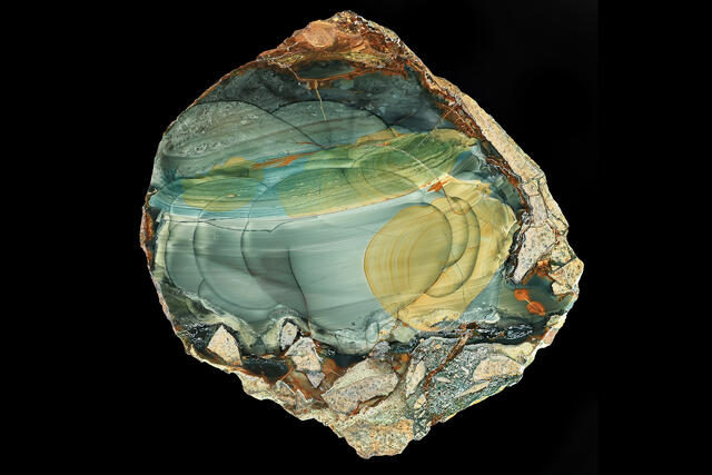 Blue Mountain Jasper 19