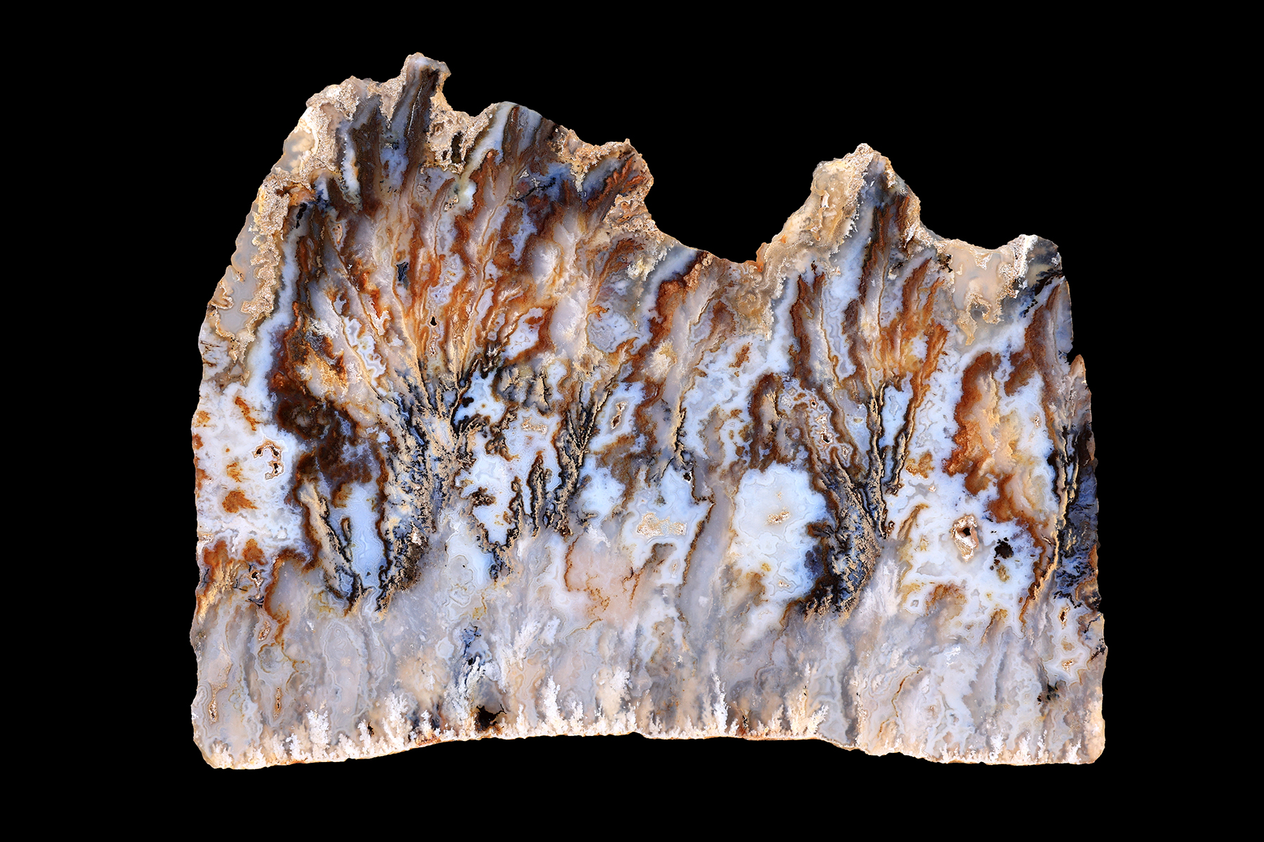 This graveyard point plume agate slab measures 7 x 5", is 4mm thick and weighs 204 grams.