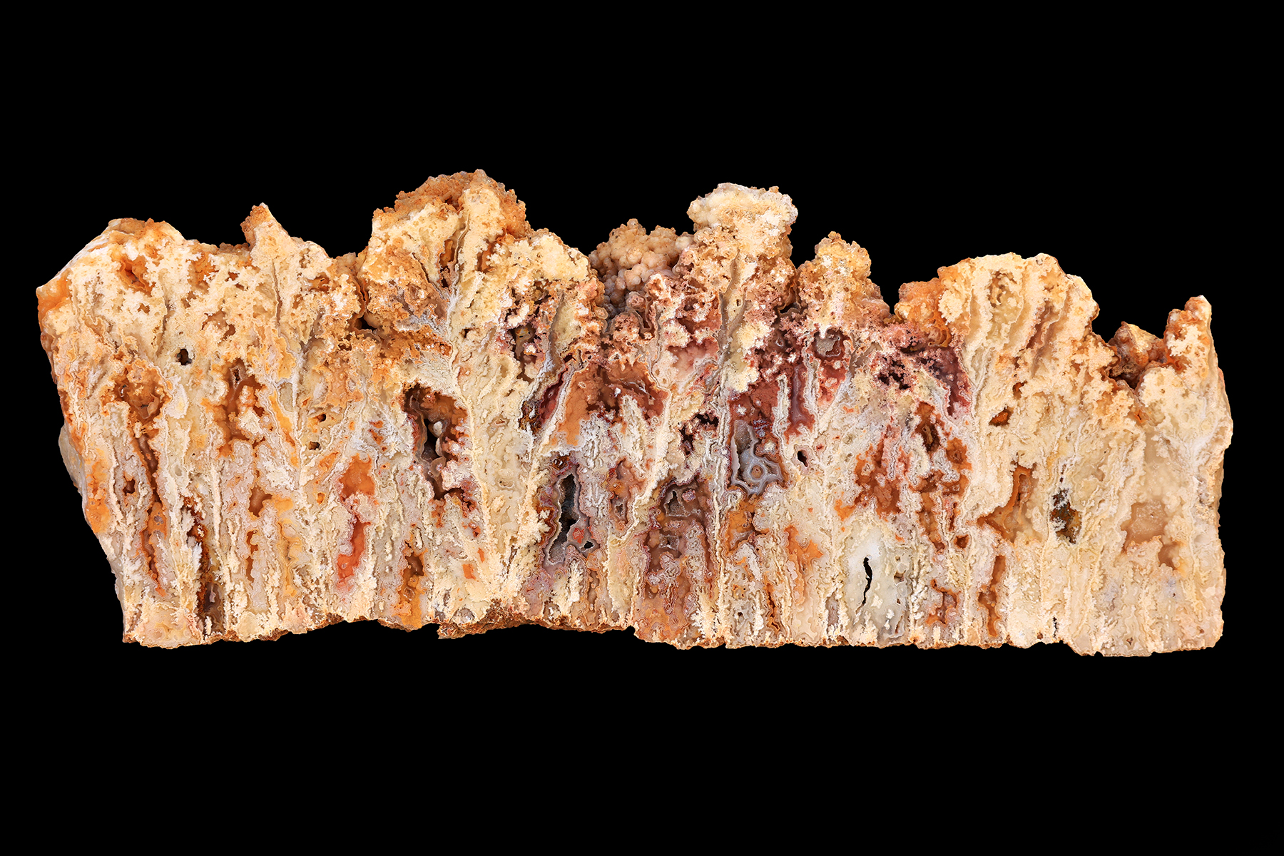 This beautiful Regency Rose Plume Agate specimen is a thick end cut with an incredible natural backside. This piece measures...